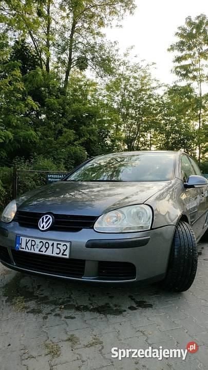 Szary Używany 2004 VW Golf V Hatchback | 8000 zł (Uczciwa cena) - Obraz 1/4