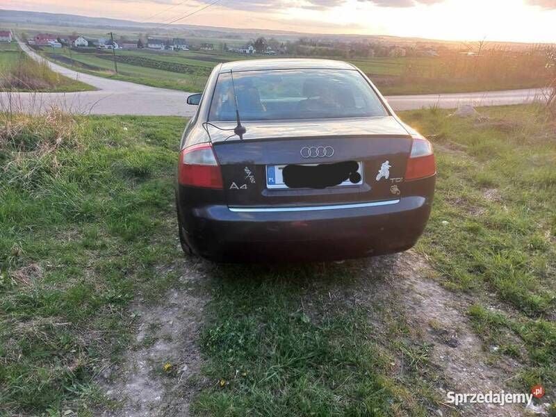 Używany Audi A4 2003 Niebieski Sedan/Limuzyna