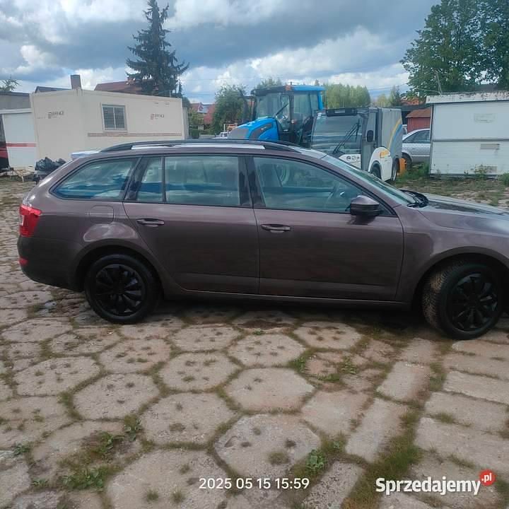 Obraz 4/4