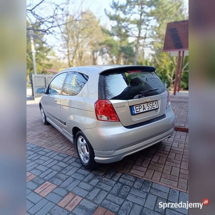 Obraz 4