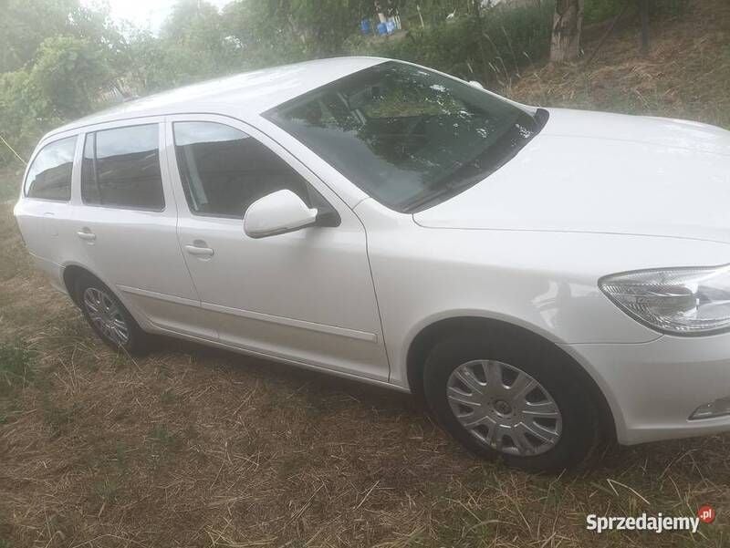 Używany Skoda Octavia 105 KM (77 kW) 2010