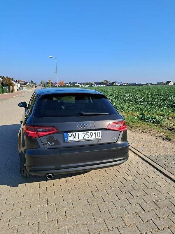 Brązowobeżowy Używany 2014 Audi A3 Sportback Hatchback | 47 000 zł - Obraz 1/4
