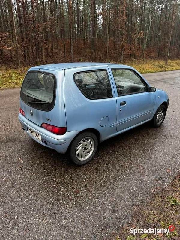 Używany Fiat Seicento 2006 Hatchback
