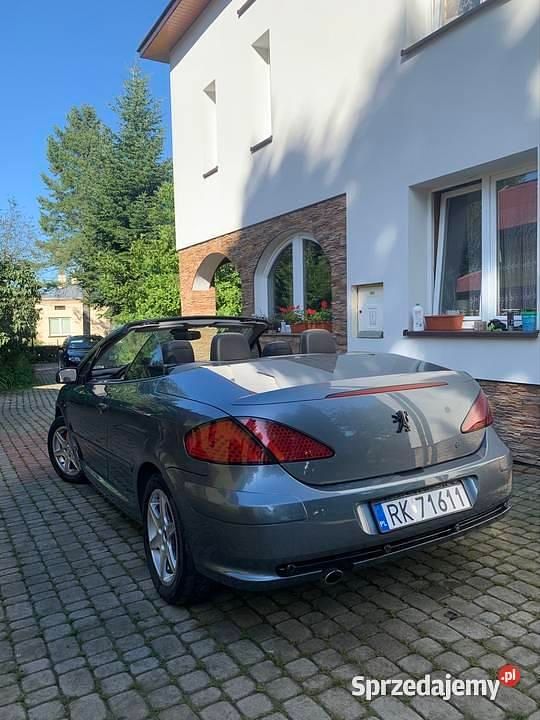 Szary Używany 2004 Peugeot 307 | 7500 zł (Drogi) - Obraz 1/4