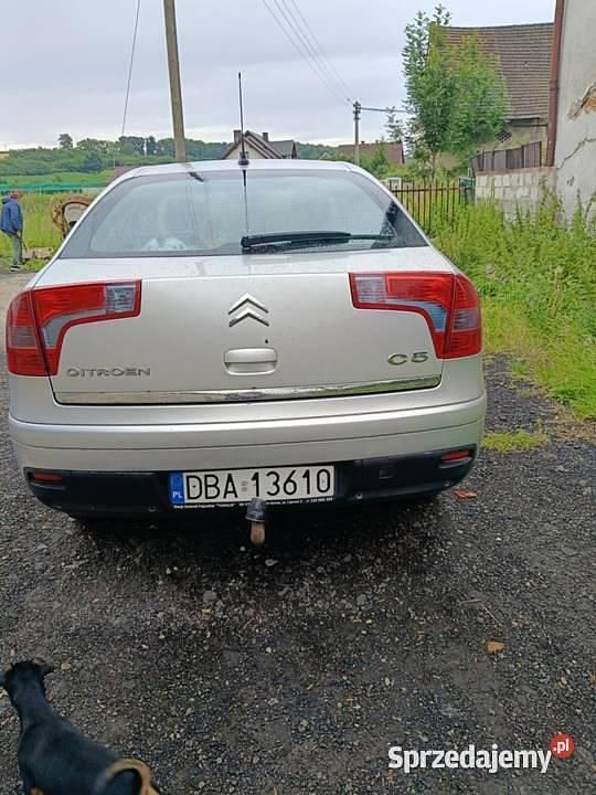 Obraz 2/4