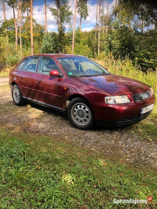 Używany 2000 Audi A3 | 7700 zł (Drogi) - Obraz 1/4