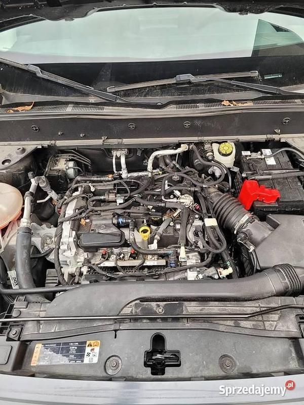 Używany 2021 Ford Bronco Sport Sport SUV | 85 000 zł - Obraz 1/4