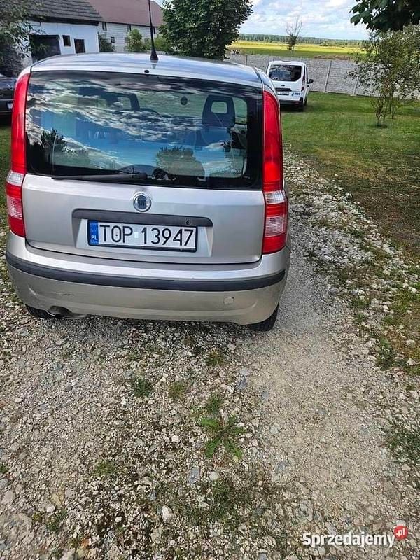 Używany 2003 Fiat Panda Hatchback | 3200 zł (Uczciwa cena) - Obraz 1/4