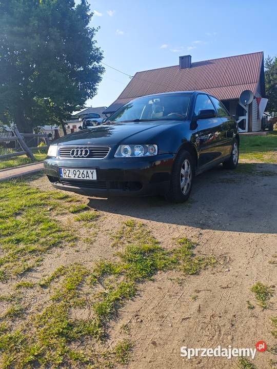 Używany 2000 Audi A3 | 4700 zł (Uczciwa cena) - Obraz 1/4