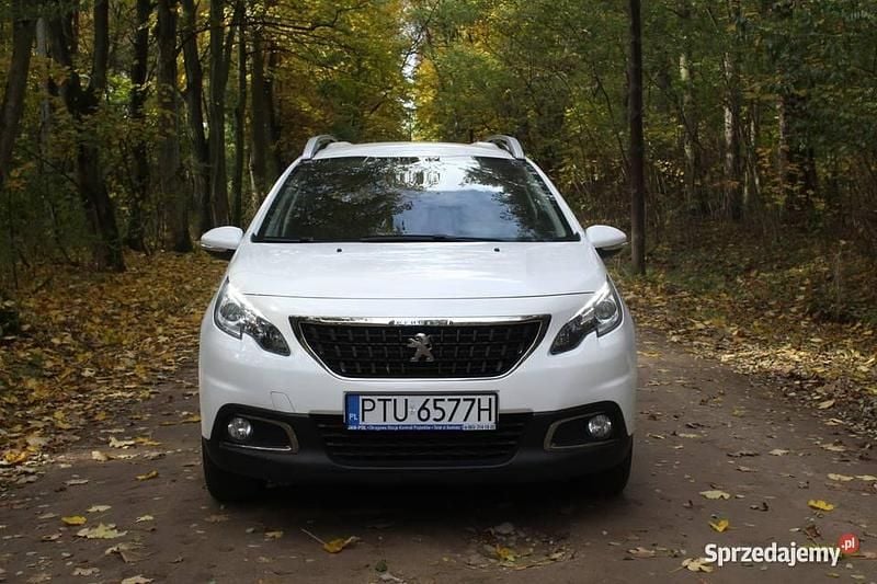Biały Używany 2019 Peugeot 2008 SUV | 42 800 zł (Dobra cena) - Obraz 1/4