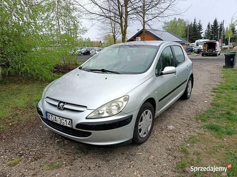 Srebrny Używany 2003 Peugeot 307 Hatchback | 1950 zł - Obraz 1/4