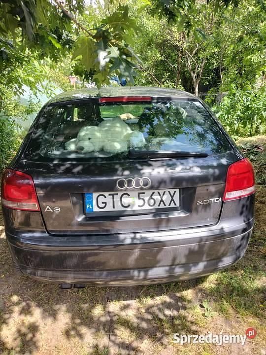 Używany 2003 Audi A3 | 7700 zł - Obraz 1/3