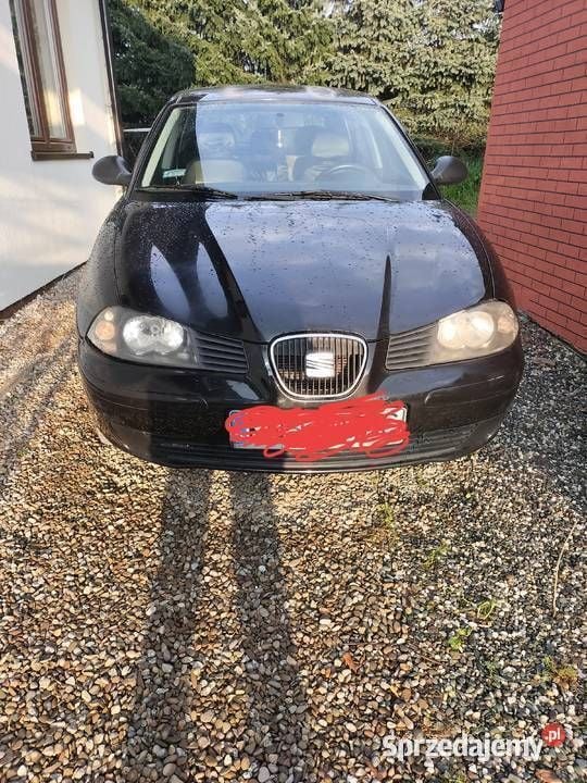 Używany Seat Ibiza 75 KM (55 kW) 2002 Hatchback