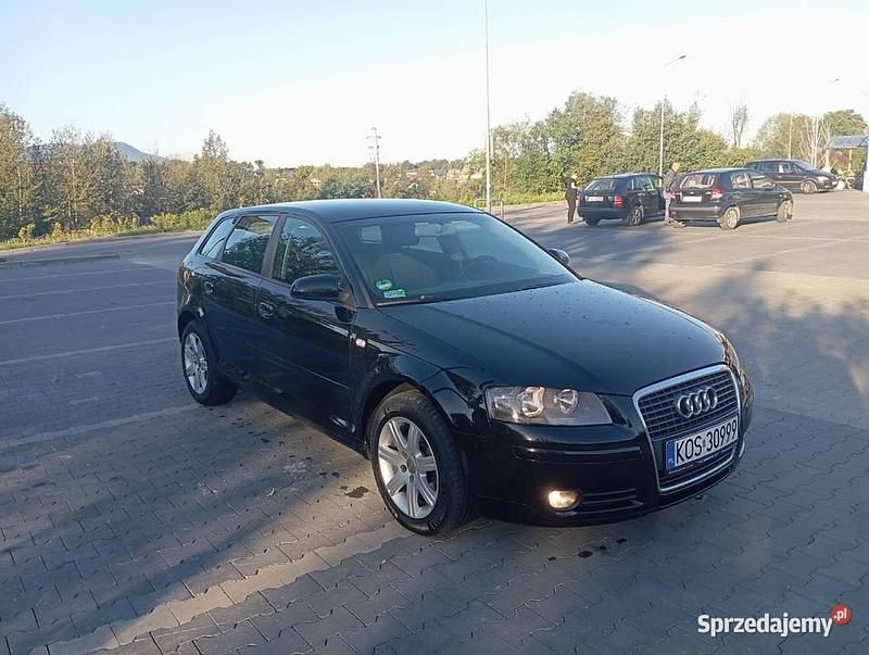 Czarny Używany 2005 Audi A3 Hatchback | 13 800 zł (Uczciwa cena) - Obraz 1/4