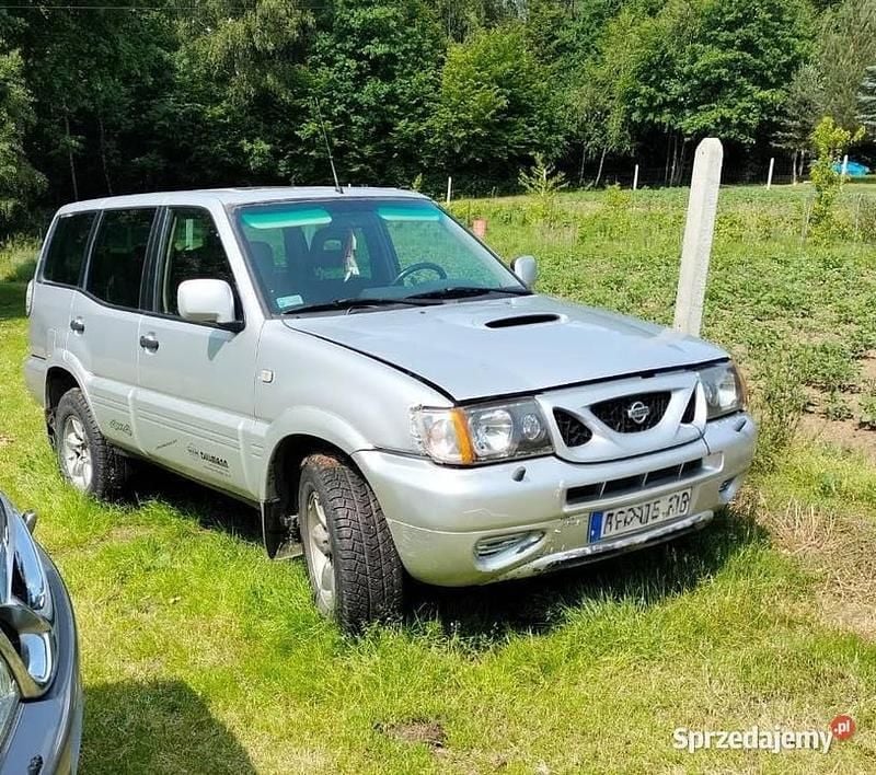 Srebrny Używany 2002 Nissan Terrano SUV | 10 000 zł - Obraz 1/4