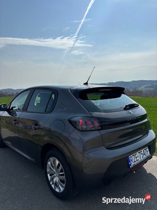 Obraz 3