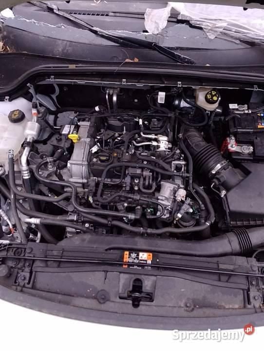 Używany Ford Focus 2024