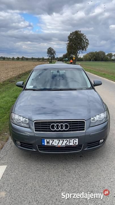 Używany 2004 Audi A3 | 7000 zł (Dobra cena) - Obraz 1/4