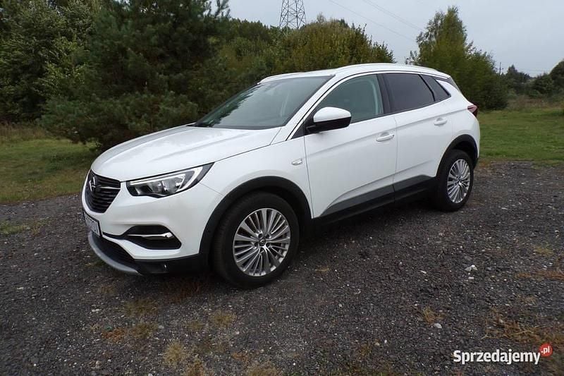 Biały Używany 2019 Opel Grandland X SUV | 63 900 zł (Uczciwa cena) - Obraz 1/4