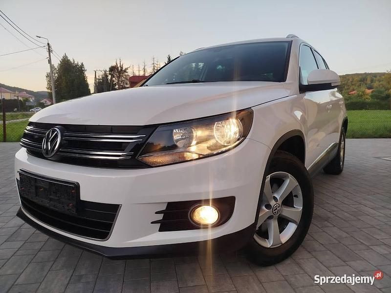 Biały Używany 2012 VW Tiguan SUV | 43 800 zł (Uczciwa cena) - Obraz 1/4