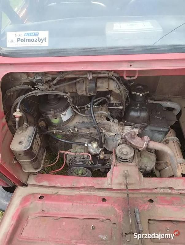 Czerwony Używany 1998 Fiat 126 Hatchback | 6700 zł (Dobra cena) - Obraz 1/4