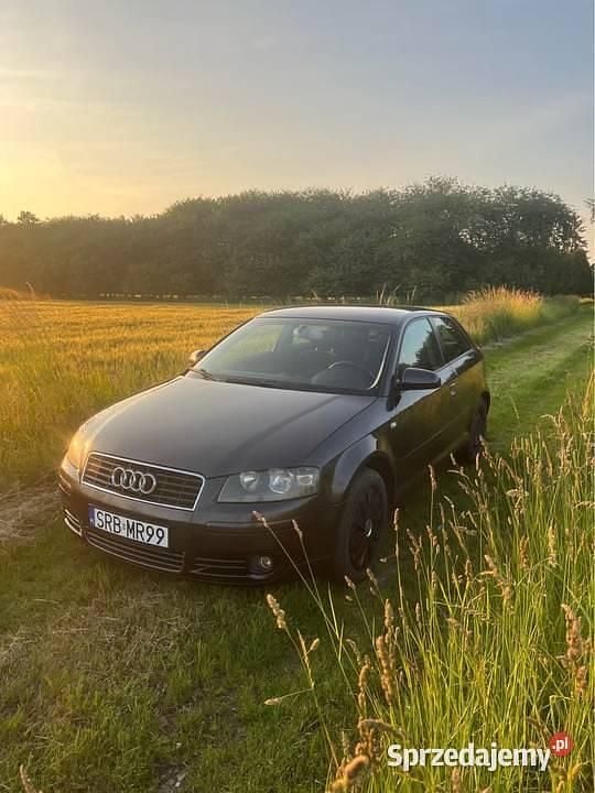 Szary Używany 2003 Audi A3 Hatchback | 6900 zł (Dość drogi) - Obraz 1/4