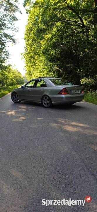 Obraz 4/4