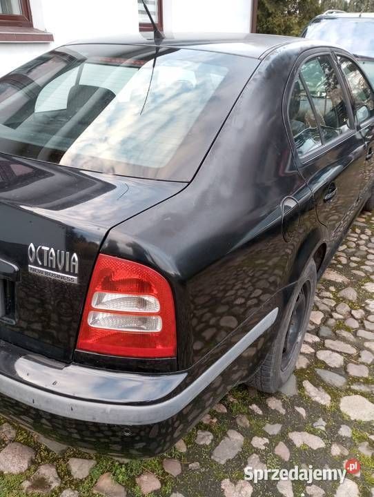 Obraz 4/4