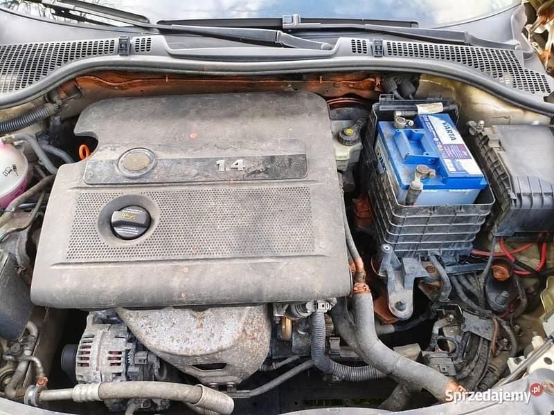 Złoty Używany 2004 Skoda Octavia Hatchback | 12 900 zł - Obraz 1/4