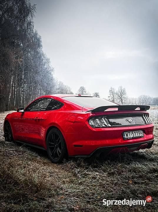 Używany Ford Mustang Premium 2016 Czerwony Coupe