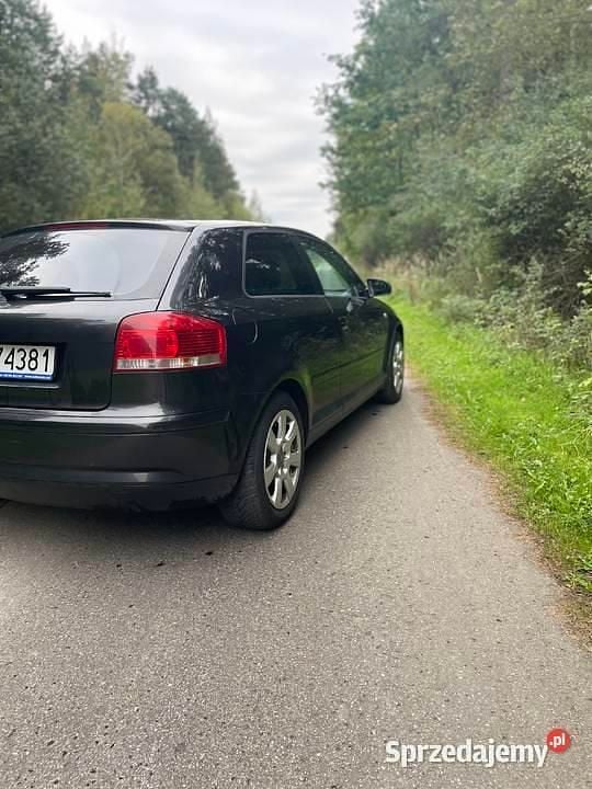 Używany 2005 Audi A3 | 7500 zł - Obraz 1/4