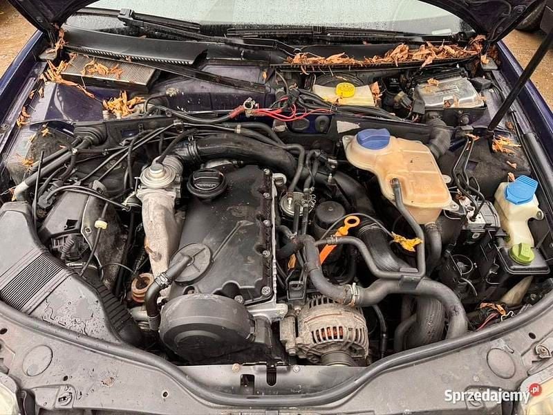 Używany 2003 Skoda Superb | 1500 zł (Super Cena) - Obraz 1/3