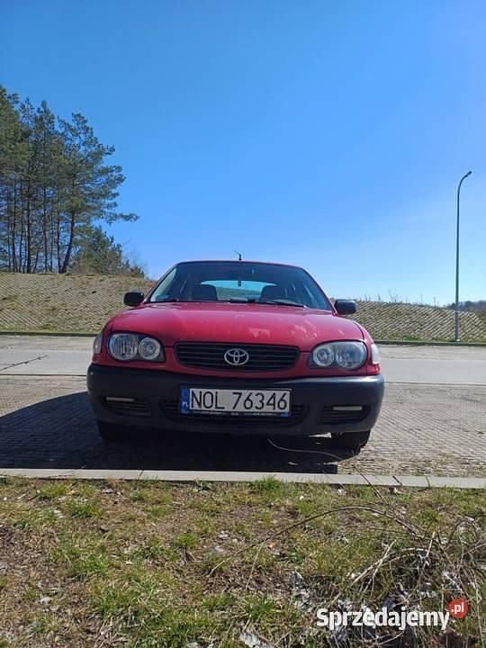 Obraz 3/4