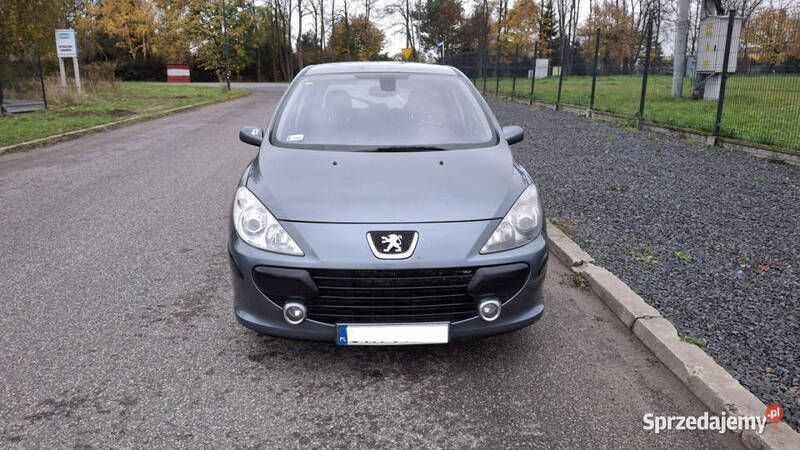 Szary Używany 2005 Peugeot 307 Hatchback | 6900 zł (Uczciwa cena) - Obraz 1/4