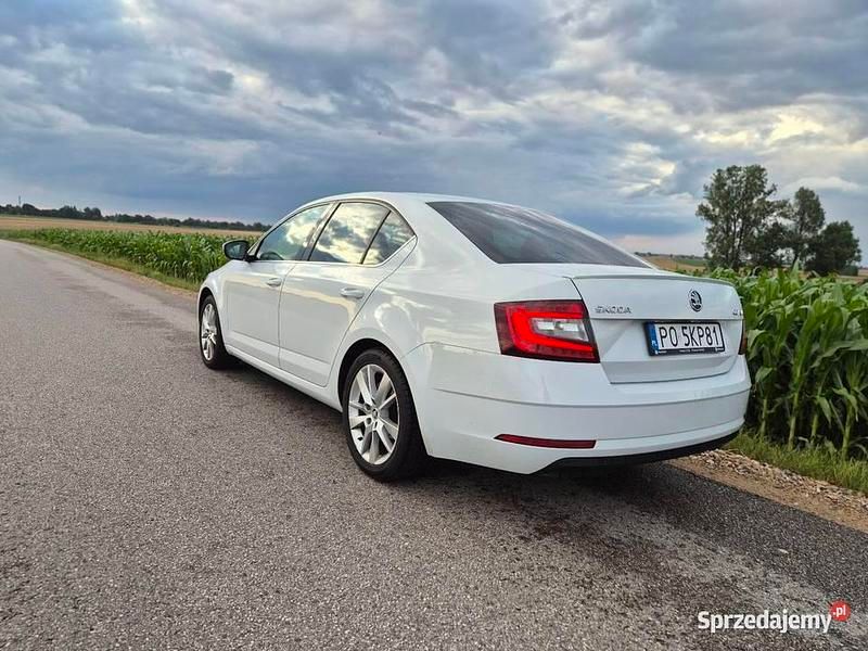 Używany Skoda Octavia 150 KM (110 kW) 2019 Biały Sedan/Limuzyna