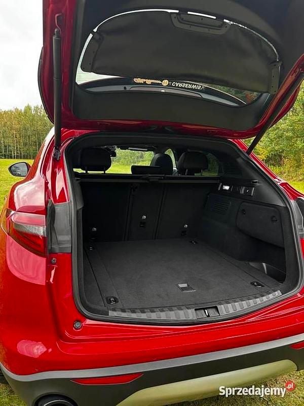 Używany Alfa Romeo Stelvio 2022 SUV