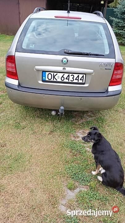 Używany 2007 Skoda Octavia | 8500 zł (Dobra cena) - Obraz 1/4