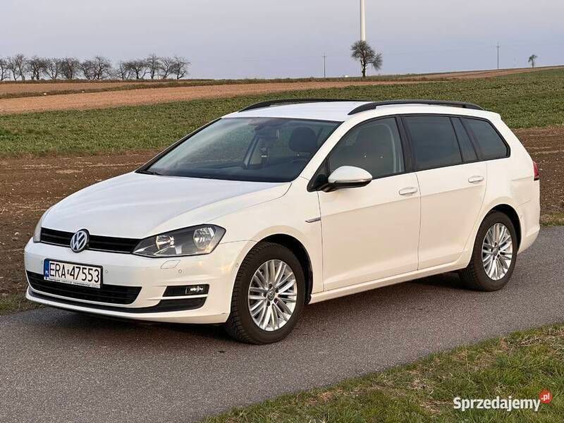 Używany 2014 VW Golf VII Cup | 34 000 zł (Dość drogi) - Obraz 1/4