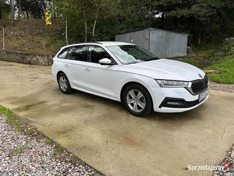 Używany 2023 Skoda Octavia | 77 800 zł - Obraz 1/4