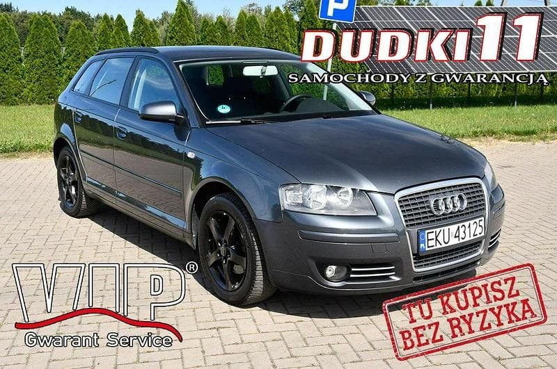 Szary Używany 2007 Audi A3 Hatchback | 17 900 zł (Uczciwa cena) - Obraz 1/4