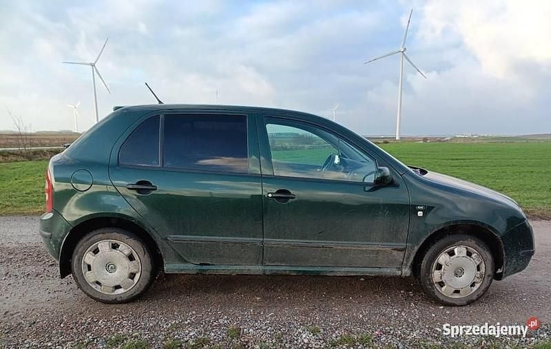Używany Skoda Fabia 2001 Zielony Hatchback