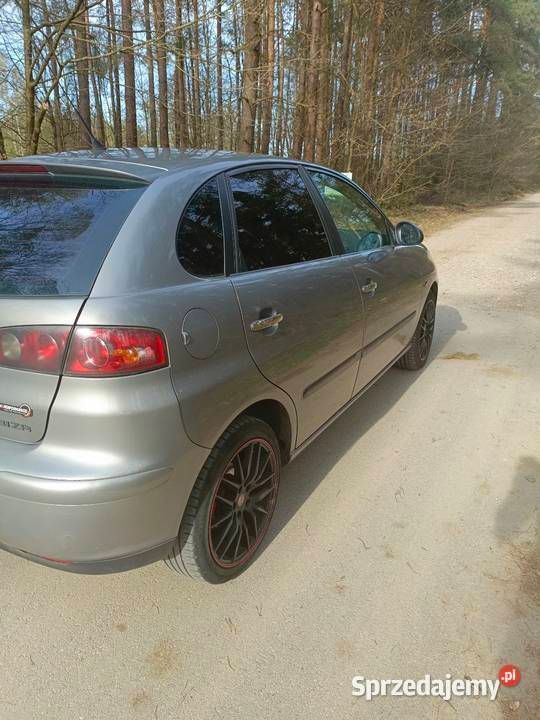 Obraz 3