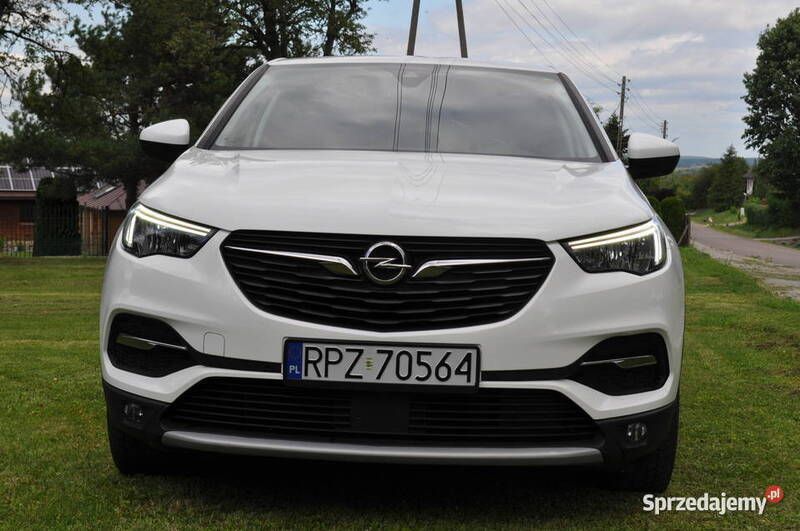 Używany 2019 Opel Grandland X SUV | 59 900 zł - Obraz 1/4