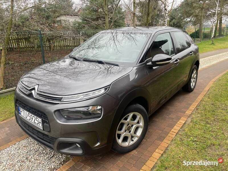 Brązowy Używany 2020 Citroën C4 Cactus PureTech Hatchback | 42 000 zł (Dobra cena) - Obraz 1/4