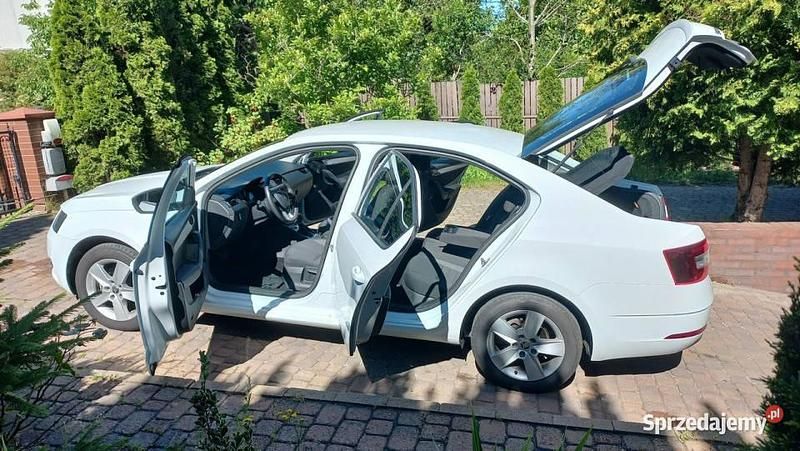 Biały Używany 2019 Skoda Octavia Sedan/Limuzyna | 38 900 zł (Super Cena) - Obraz 1/4