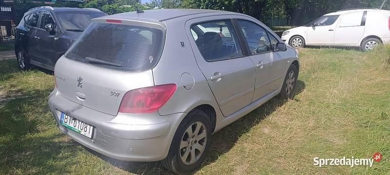 Srebrny Używany 2004 Peugeot 307 Hatchback | 4200 zł (Uczciwa cena) - Obraz 1/4