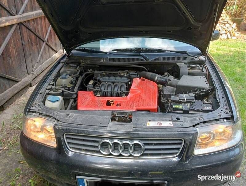 Czarny Używany 1997 Audi A3 Hatchback | 2800 zł (Dobra cena) - Obraz 1/4