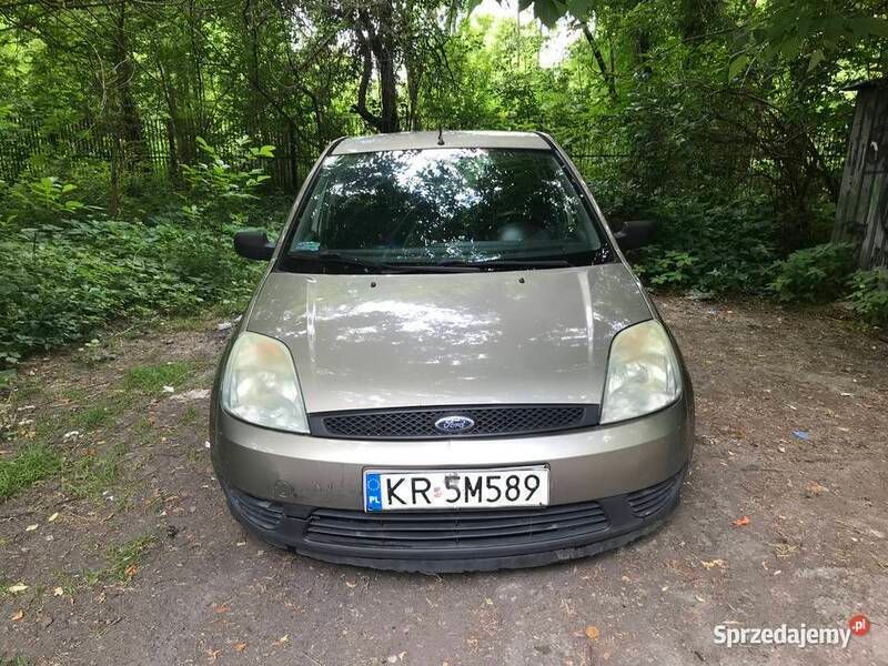 Złoty Używany 2004 Ford Fiesta Hatchback | 4000 zł (Uczciwa cena) - Obraz 1/4