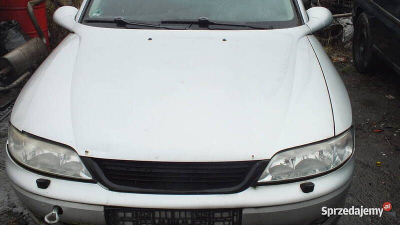 Złoty Używany 1999 Opel Vectra | 1000 zł (Super Cena) - Obraz 1/3