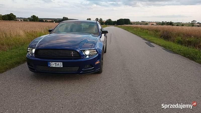 Używany 2013 Ford Mustang Premium | 63 000 zł (Drogi) - Obraz 1/4